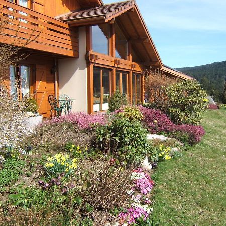 B&B Chalet L'Epinette Gérardmer Exterior foto